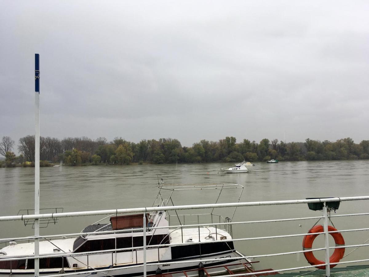 Splav Guest Hause Gusar Hotel Beograd Eksteriør billede